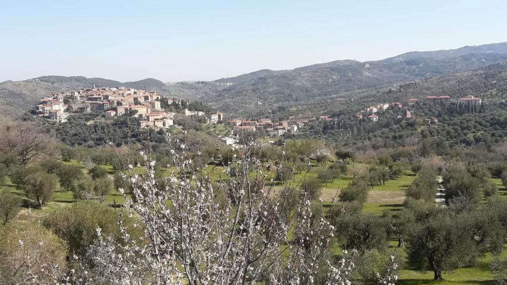 Seggiano Giardino Di Potentino מראה חיצוני תמונה
