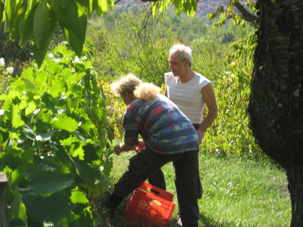 Seggiano Giardino Di Potentino מראה חיצוני תמונה